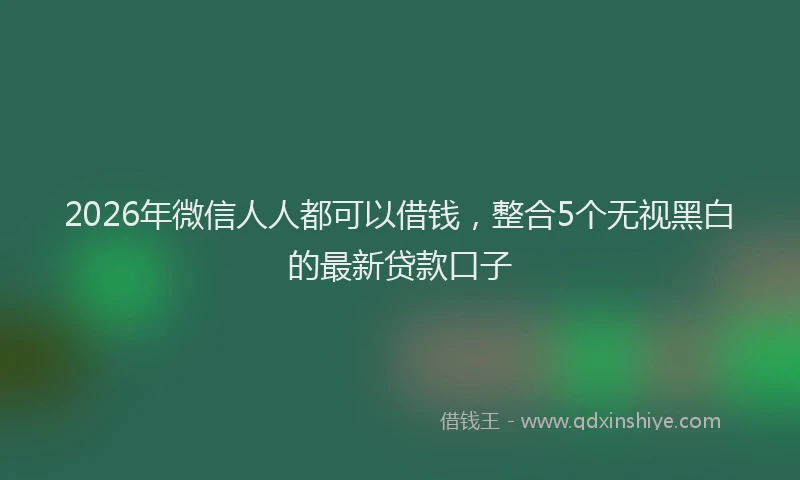 2026年微信人人都可以借钱，整合5个无视黑白的最新贷款口子