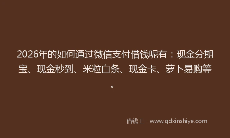 2026年的如何通过微信支付借钱呢有:现金分期宝、现金秒到、米粒白条、现金卡、萝卜易购等。