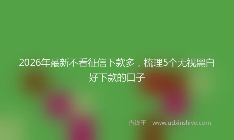 2026年最新不看征信下款多,梳理5个无视黑白好下款的口子