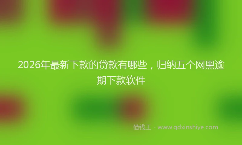 2026年最新下款的贷款有哪些，归纳五个网黑逾期下款软件