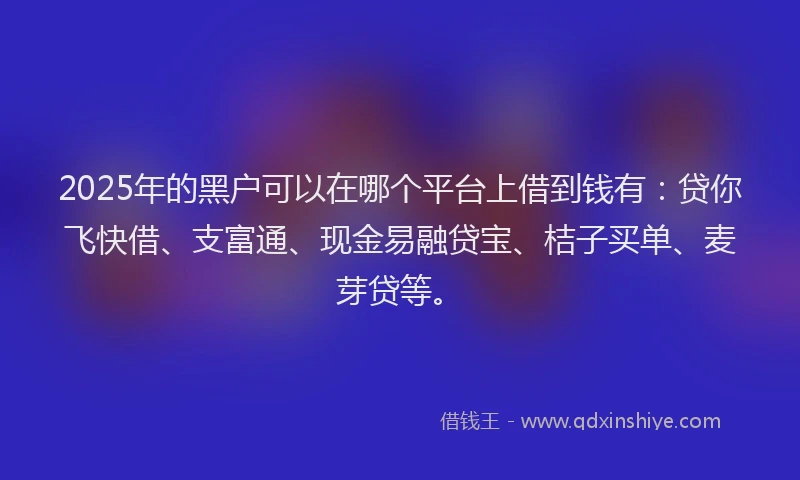 2025年的黑户可以在哪个平台上借到钱有：贷你飞快借、支富通、现金易融贷宝、桔子买单、麦芽贷等。