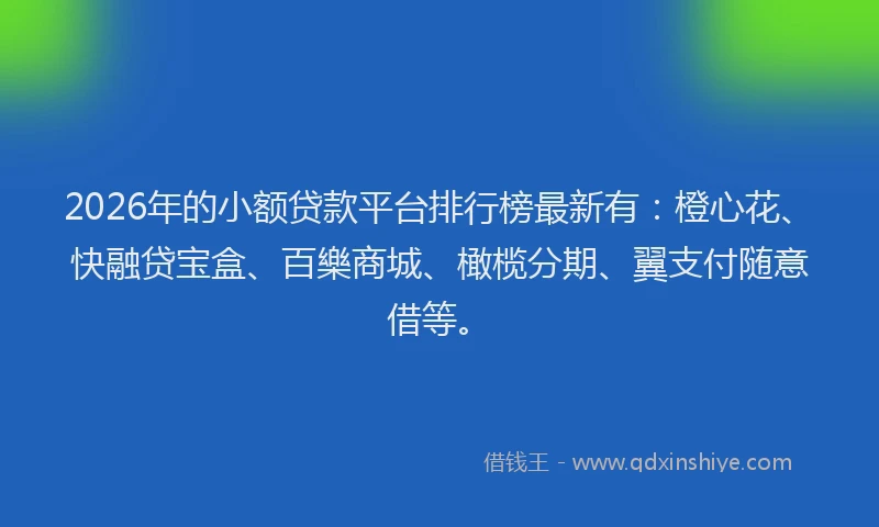 2026年的小额贷款平台排行榜最新有：橙心花、快融贷宝盒、百樂商城、橄榄分期、翼支付随意借等。
