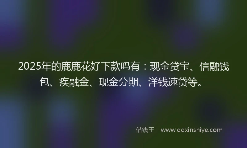 2025年的鹿鹿花好下款吗有:现金贷宝、信融钱包、疾融金、现金分期、洋钱速贷等。