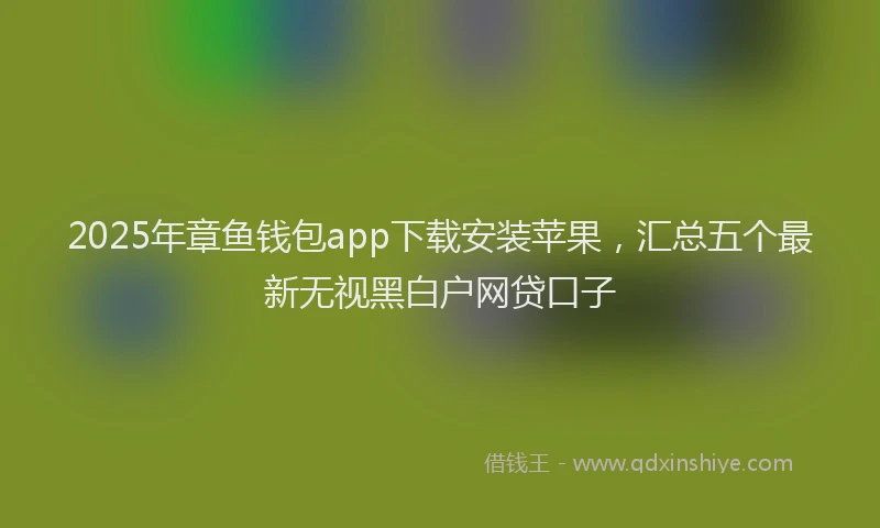2025年章鱼钱包app下载安装苹果，汇总五个最新无视黑白户网贷口子