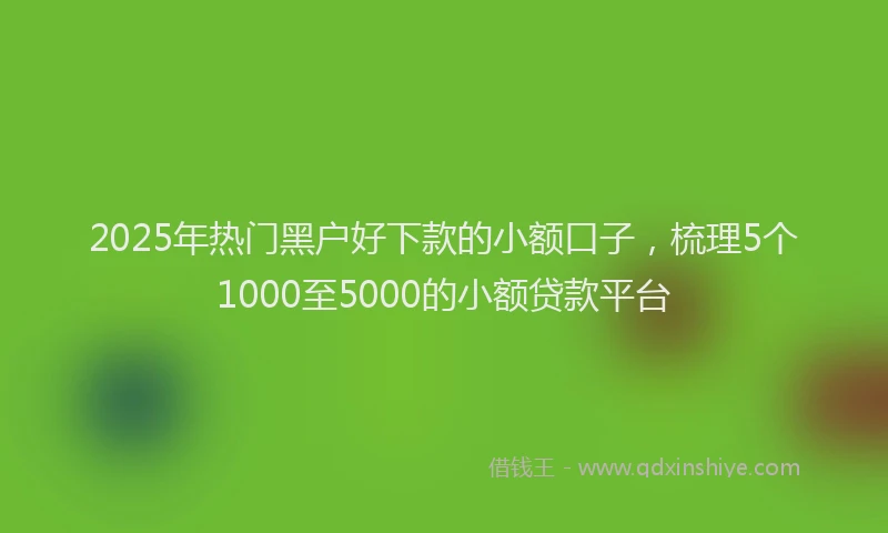 2025年热门黑户好下款的小额口子,梳理5个1000至5000的小额贷款平台