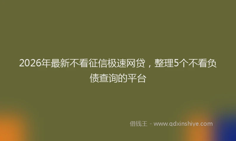 2026年最新不看征信极速网贷,整理5个不看负债查询的平台