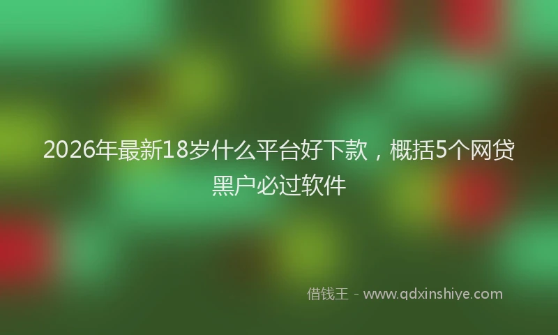 2026年最新18岁什么平台好下款，概括5个网贷黑户必过软件