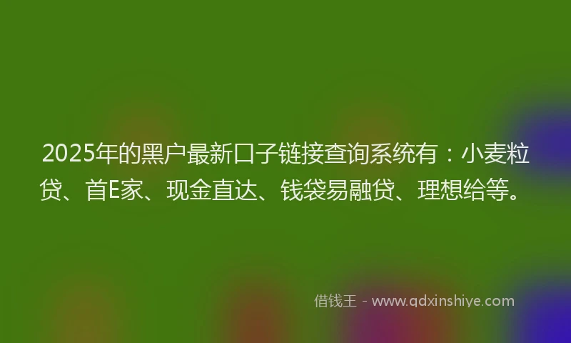 2025年的黑户最新口子链接查询系统有：小麦粒贷、首E家、现金直达、钱袋易融贷、理想给等。