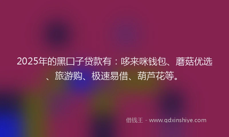2025年的黑囗子贷款有:哆来咪钱包、蘑菇优选、旅游购、极速易借、葫芦花等。