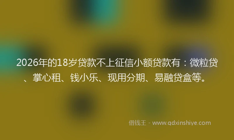 2026年的18岁贷款不上征信小额贷款有:微粒贷、掌心租、钱小乐、现用分期、易融贷盒等。