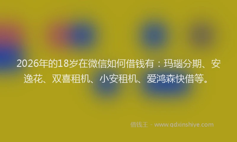 2026年的18岁在微信如何借钱有：玛瑙分期、安逸花、双喜租机、小安租机、爱鸿森快借等。