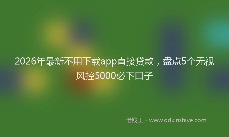 2026年最新不用下载app直接贷款，盘点5个无视风控5000必下口子