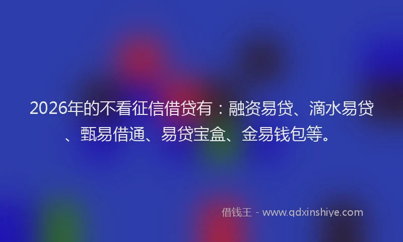 2026年的不看征信借贷有:融资易贷、滴水易贷、甄易借通、易贷宝盒、金易钱包等。