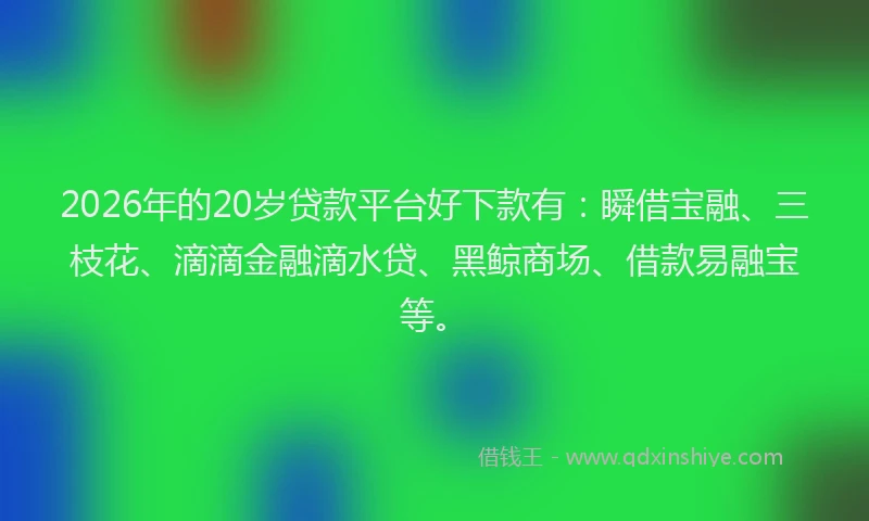 2026年的20岁贷款平台好下款有：瞬借宝融、三枝花、滴滴金融滴水贷、黑鲸商场、借款易融宝等。