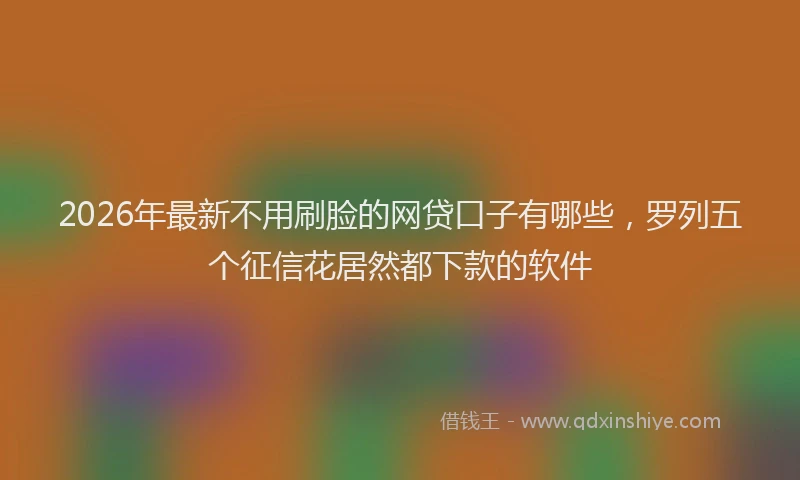 2026年最新不用刷脸的网贷口子有哪些，罗列五个征信花居然都下款的软件
