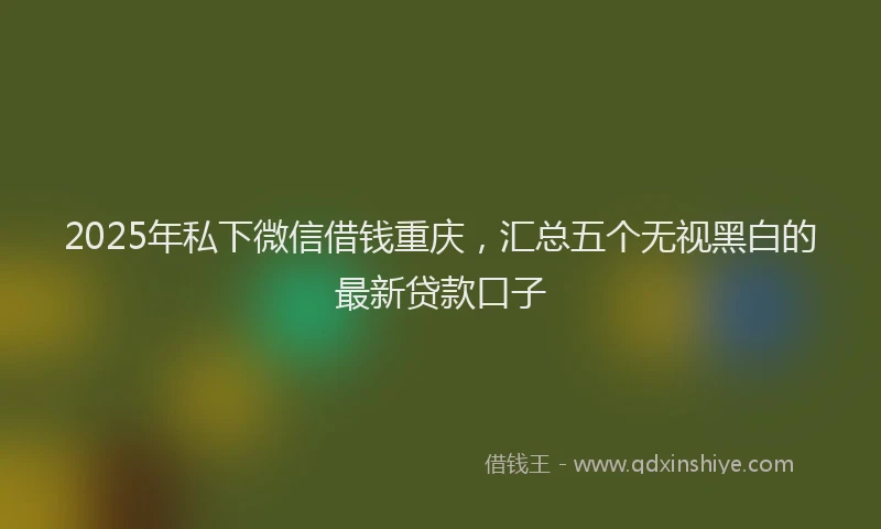 2025年私下微信借钱重庆，汇总五个无视黑白的最新贷款口子