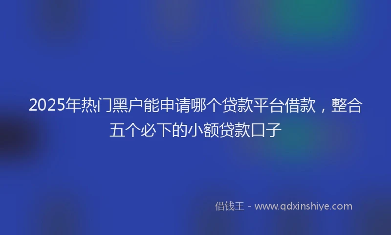 2025年热门黑户能申请哪个贷款平台借款，整合五个必下的小额贷款口子