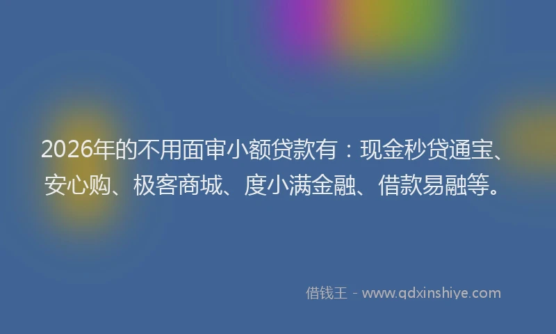 2026年的不用面审小额贷款有：现金秒贷通宝、安心购、极客商城、度小满金融、借款易融等。
