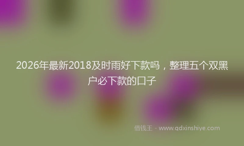 2026年最新2018及时雨好下款吗，整理五个双黑户必下款的口子