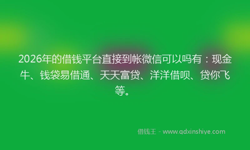 2026年的借钱平台直接到帐微信可以吗有：现金牛、钱袋易借通、天天富贷、洋洋借呗、贷你飞等。