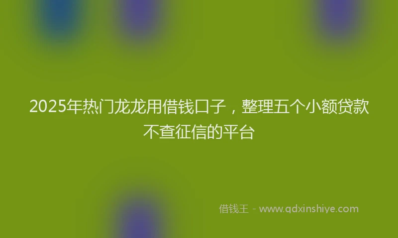 2025年热门龙龙用借钱口子,整理五个小额贷款不查征信的平台