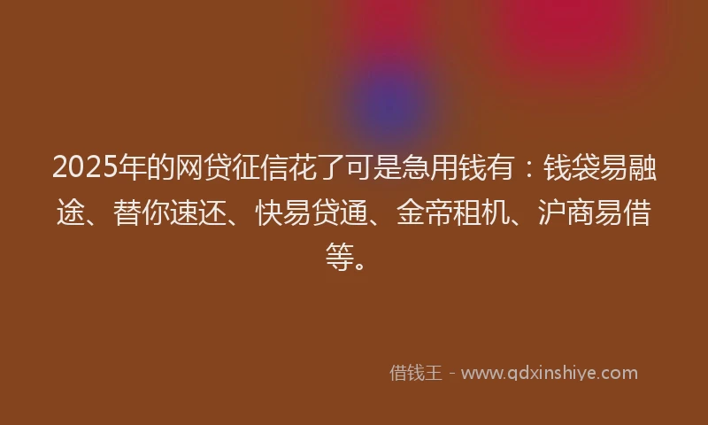 2025年的网贷征信花了可是急用钱有：钱袋易融途、替你速还、快易贷通、金帝租机、沪商易借等。