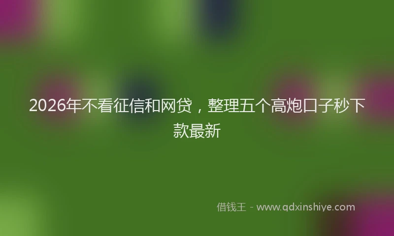 2026年不看征信和网贷，整理五个高炮口子秒下款最新