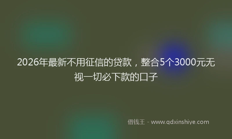 2026年最新不用征信的贷款，整合5个3000元无视一切必下款的口子