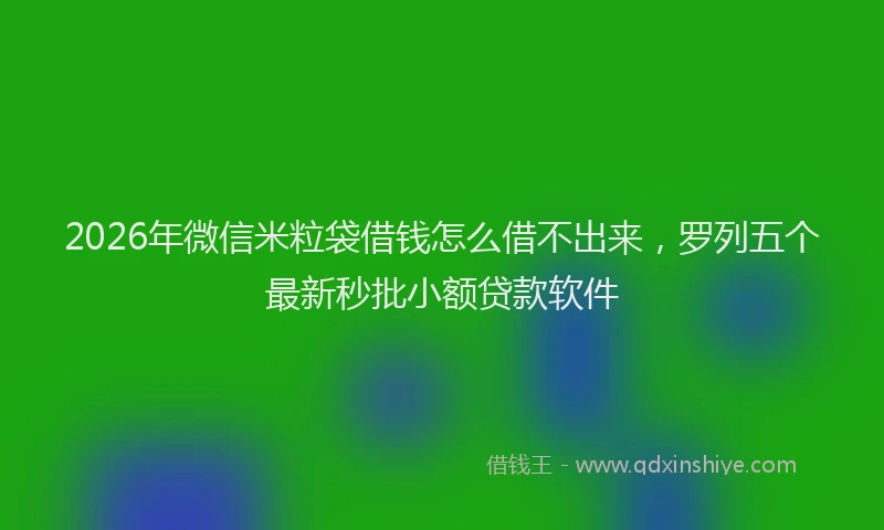 2026年微信米粒袋借钱怎么借不出来，罗列五个最新秒批小额贷款软件