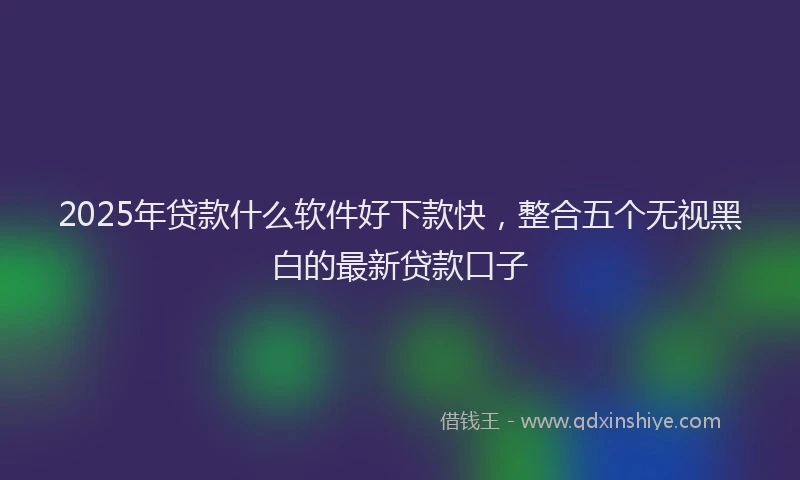 2025年贷款什么软件好下款快，整合五个无视黑白的最新贷款口子