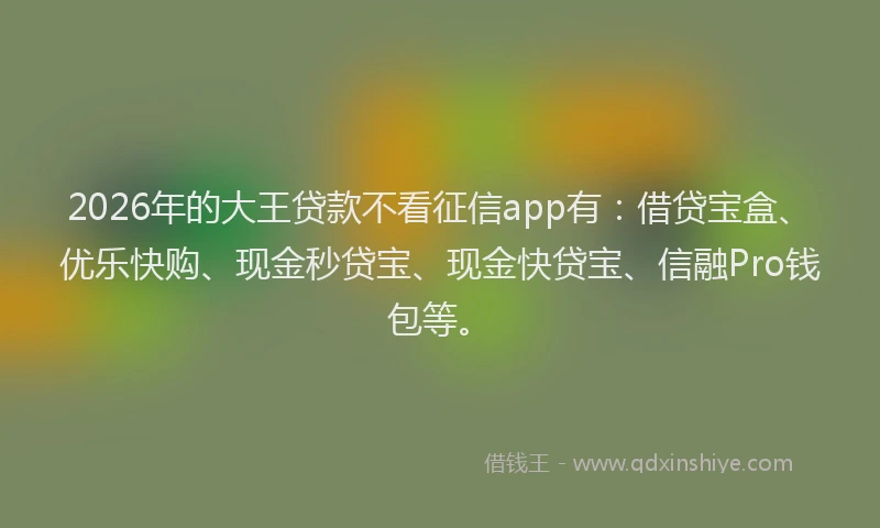 2026年的大王贷款不看征信app有:借贷宝盒、优乐快购、现金秒贷宝、现金快贷宝、信融Pro钱包等。