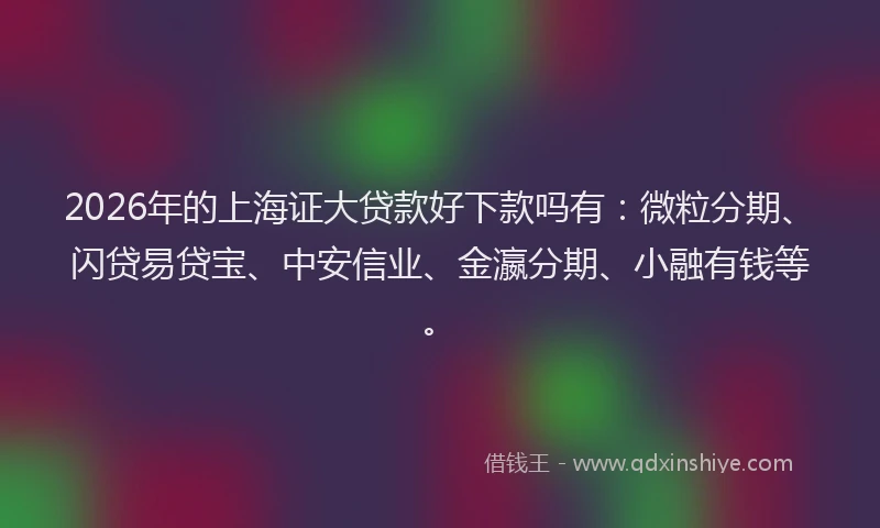 2026年的上海证大贷款好下款吗有：微粒分期、闪贷易贷宝、中安信业、金瀛分期、小融有钱等。