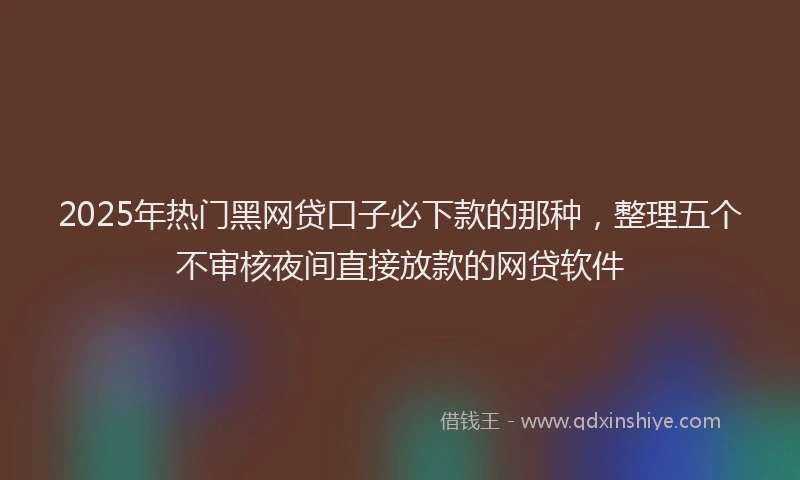 2025年热门黑网贷口子必下款的那种，整理五个不审核夜间直接放款的网贷软件
