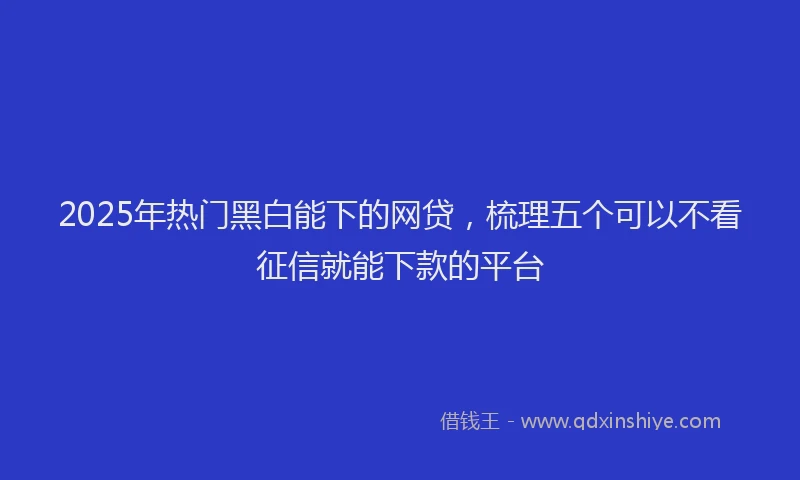 2025年热门黑白能下的网贷，梳理五个可以不看征信就能下款的平台