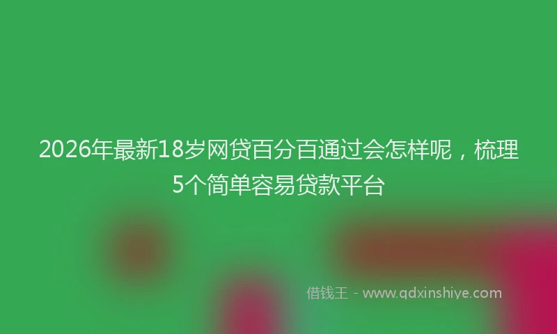 2026年最新18岁网贷百分百通过会怎样呢，梳理5个简单容易贷款平台