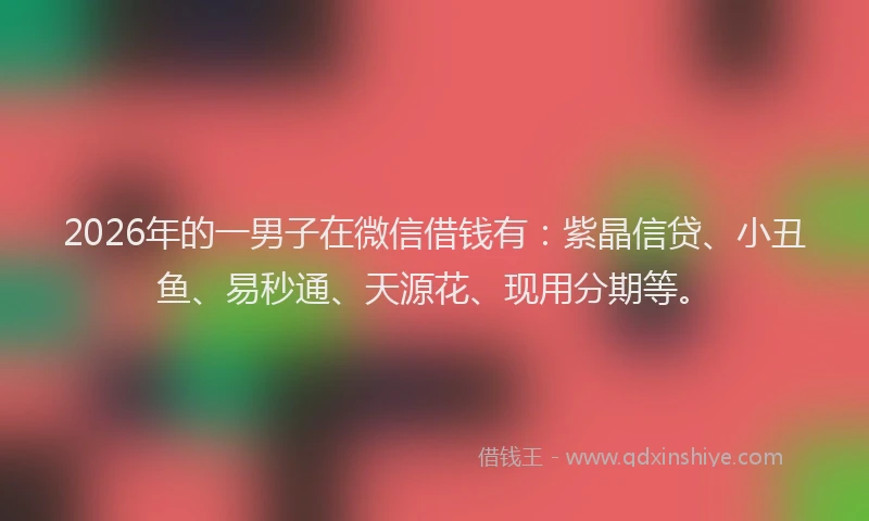2026年的一男子在微信借钱有:紫晶信贷、小丑鱼、易秒通、天源花、现用分期等。