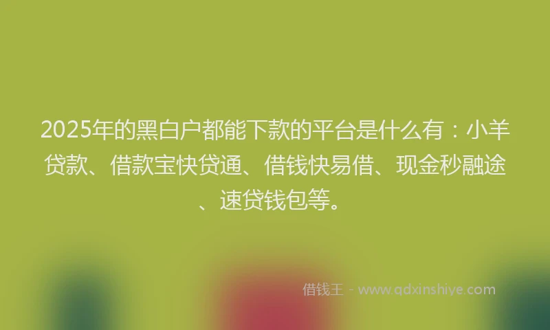 2025年的黑白户都能下款的平台是什么有：小羊贷款、借款宝快贷通、借钱快易借、现金秒融途、速贷钱包等。