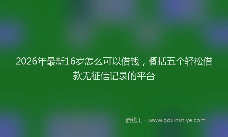 2026年最新16岁怎么可以借钱，概括五个轻松借款无征信记录的平台