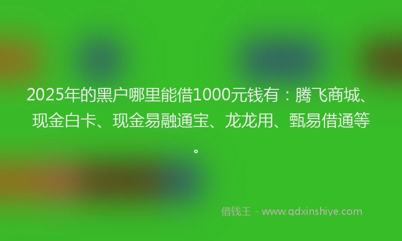 2025年的黑户哪里能借1000元钱有:腾飞商城、现金白卡、现金易融通宝、龙龙用、甄易借通等。