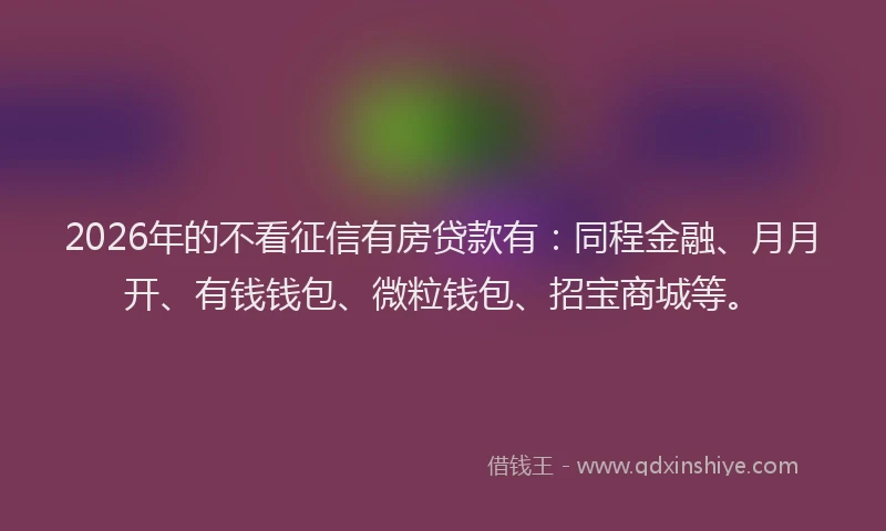 2026年的不看征信有房贷款有:同程金融、月月开、有钱钱包、微粒钱包、招宝商城等。