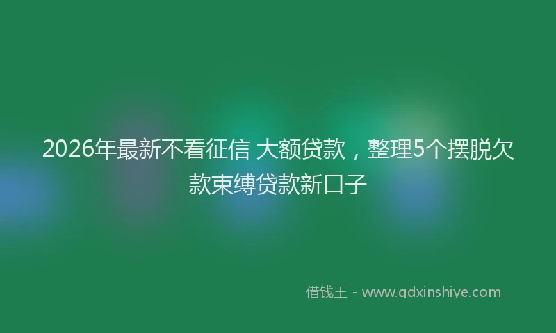 2026年最新不看征信 大额贷款,整理5个摆脱欠款束缚贷款新口子