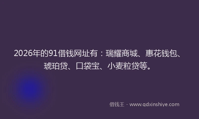 2026年的91借钱网址有：瑞耀商城、惠花钱包、琥珀贷、口袋宝、小麦粒贷等。
