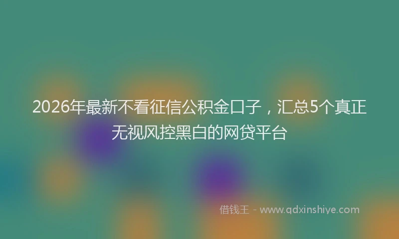 2026年最新不看征信公积金口子,汇总5个真正无视风控黑白的网贷平台