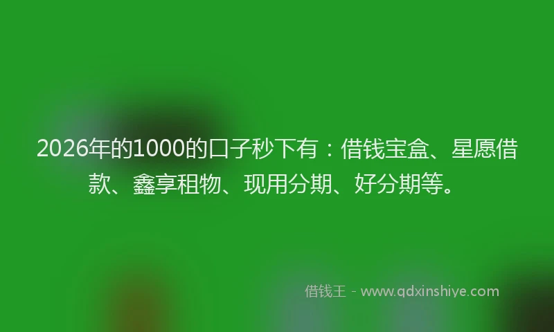 2026年的1000的口子秒下有：借钱宝盒、星愿借款、鑫享租物、现用分期、好分期等。