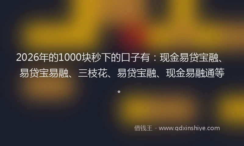 2026年的1000块秒下的口子有：现金易贷宝融、易贷宝易融、三枝花、易贷宝融、现金易融通等。