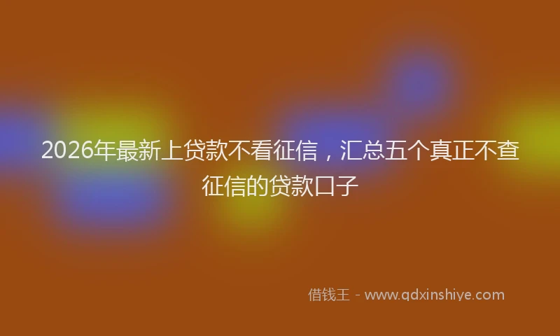 2026年最新上贷款不看征信，汇总五个真正不查征信的贷款口子