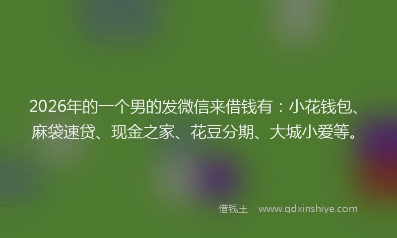 2026年的一个男的发微信来借钱有：小花钱包、麻袋速贷、现金之家、花豆分期、大城小爱等。