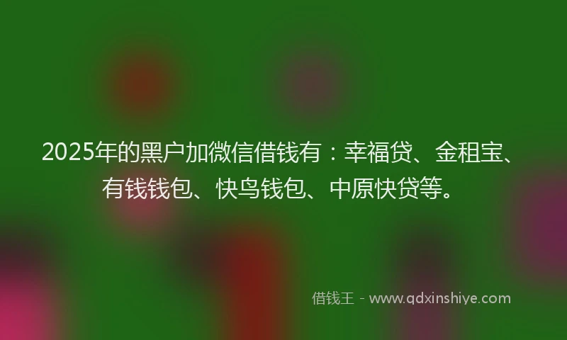 2025年的黑户加微信借钱有:幸福贷、金租宝、有钱钱包、快鸟钱包、中原快贷等。
