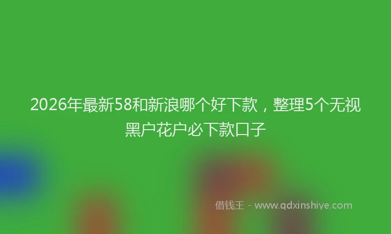 2026年最新58和新浪哪个好下款，整理5个无视黑户花户必下款口子