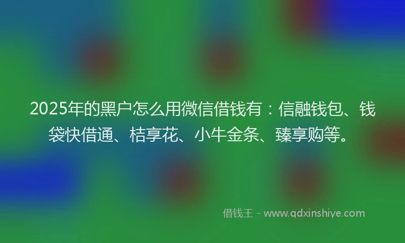 2025年的黑户怎么用微信借钱有：信融钱包、钱袋快借通、桔享花、小牛金条、臻享购等。